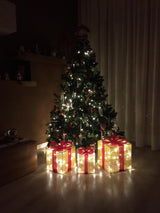 Set 3 pacchi regalo con luci a Led bianco caldo, con box batterie e Timer, ogni pacco dispone del suo box batterie - Idea regalo