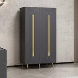 Armadio multiuso 2 ante particolari oro 90x47x164h