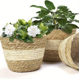 Set 3 Ceste (Large +Medium +Small) paglia intrecciata e corda di cotone +rivestimento interno in plastica .